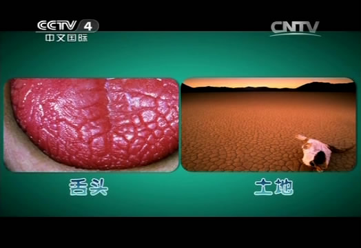 cn 】(来源:央视)2014年4月23日,央视中华医药,就干燥综合症问题,制作