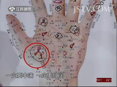 JSTV万家灯火高振宗掌握健康手诊全集