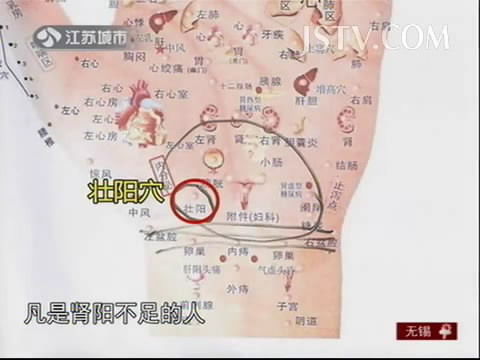 JSTV万家灯火高振宗掌握健康手诊全集