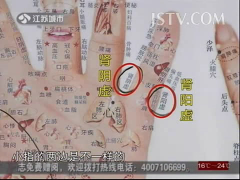 JSTV万家灯火高振宗掌握健康手诊全集