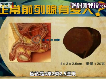 BTV养生堂警惕前腺的危机