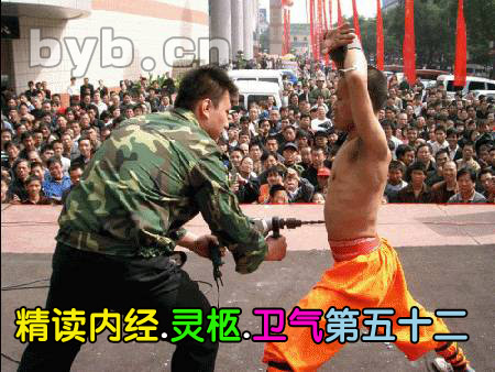 精读内经.灵枢.卫气第五十二