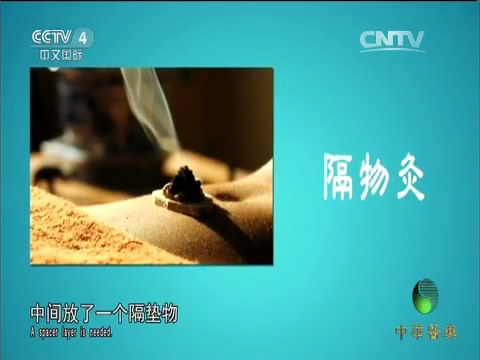 央视中华医药陈日新热敏灸治大病-别有病 Byb