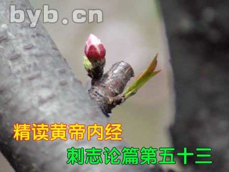 byb.cn 刺志论篇第五十三