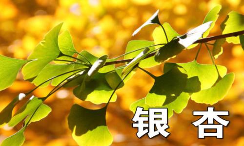 byb.cn byb.cn