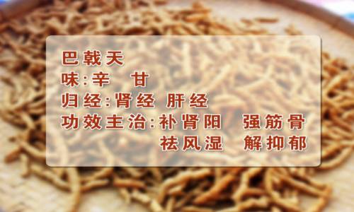 byb.cn byb.cn