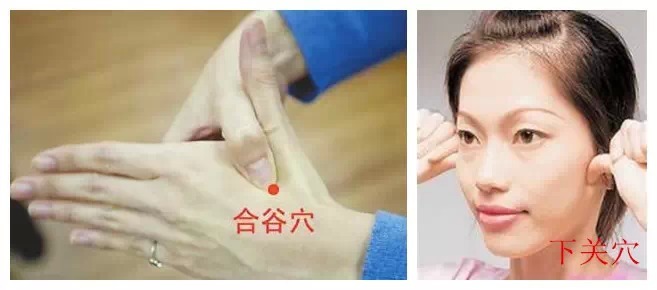 ③牙痛-- 合谷,下关
