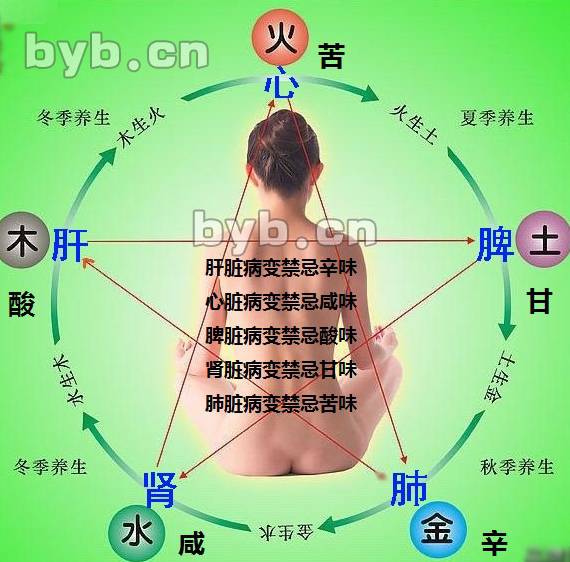 精读内经.灵枢.五味第五十六