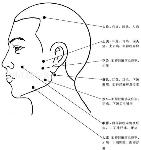 人体穴位图组合