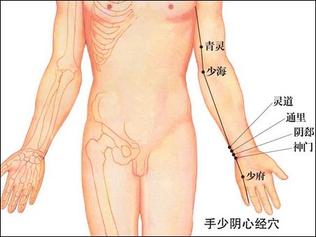 如何消除你的大胖胳膊蝴蝶袖