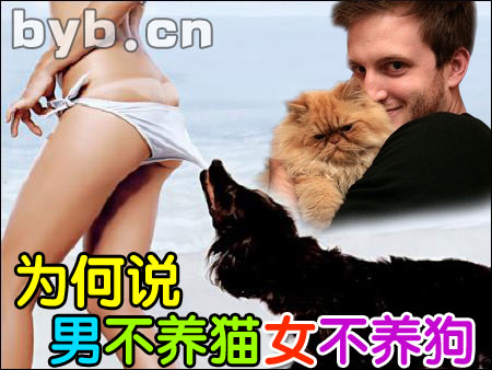 男不养猫女不养狗