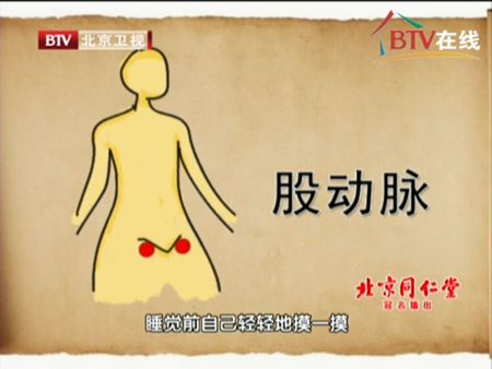 股动脉