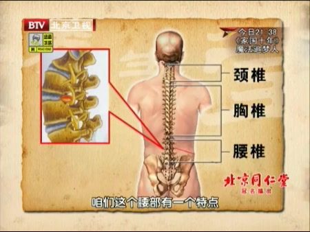 颈椎,胸椎,腰椎