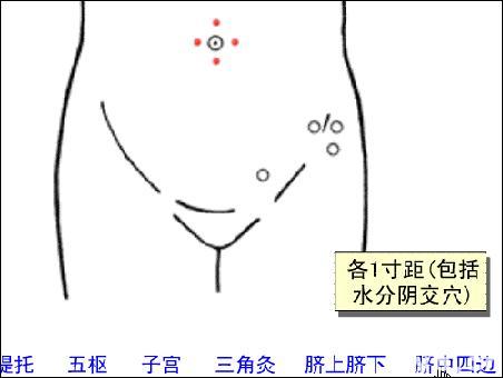 脐中四边