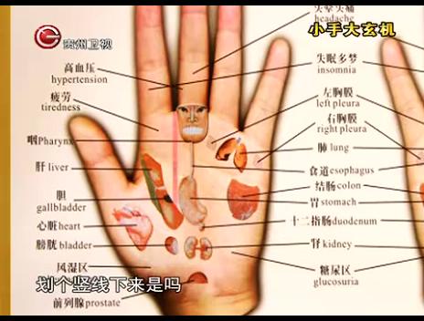 手掌的形态,颜色,大小,厚度都代表着不同脏器出现问题,当手掌