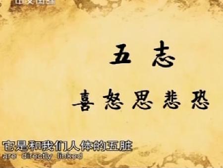 央视文明之旅樊正伦情志的奥秘