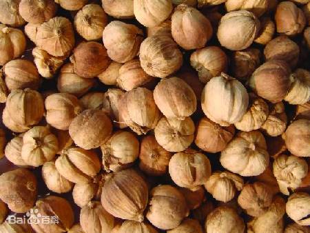 花溪:杏仁寇仁薏仁袪湿佳饮三仁露