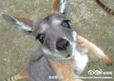 byb.cn byb.cn