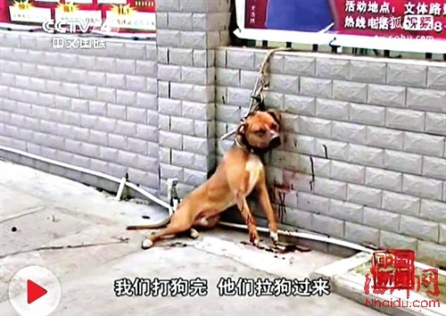 byb.cn byb.cn
