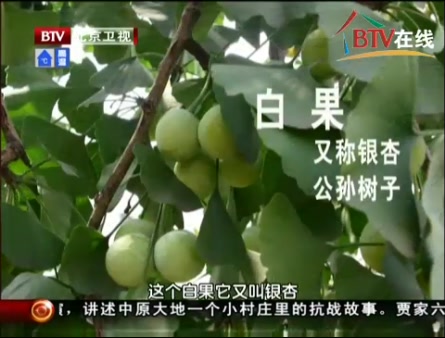 byb.cn byb.cn