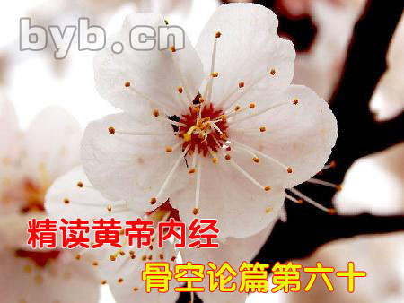 byb.cn 骨空论