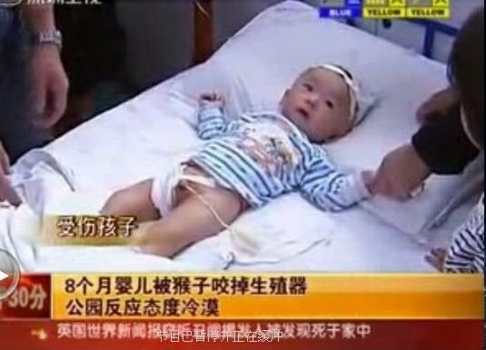 byb.cn byb.cn