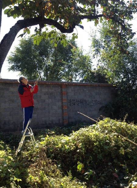 byb.cn byb.cn