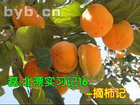 byb.cn byb.cn