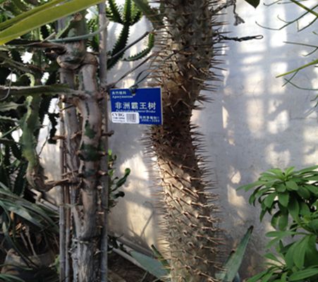 byb.cn byb.cn
