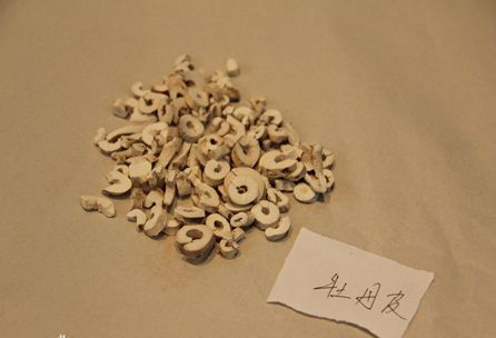 byb.cn byb.cn