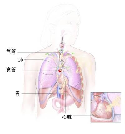 byb.cn byb.cn