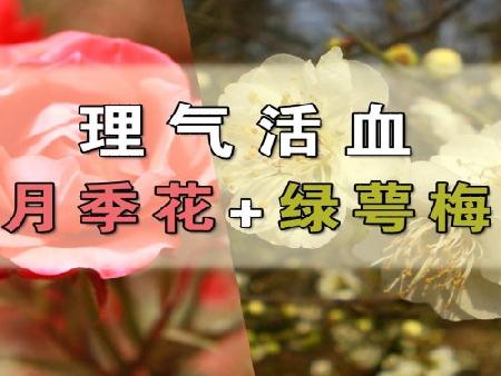 byb.cn byb.cn