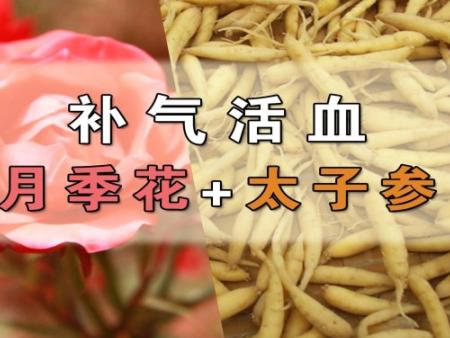 byb.cn byb.cn