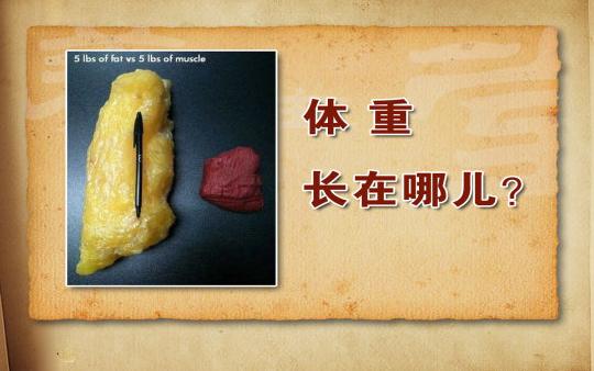 byb.cn byb.cn