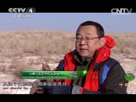 byb.cn byb.cn