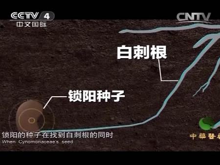 byb.cn byb.cn