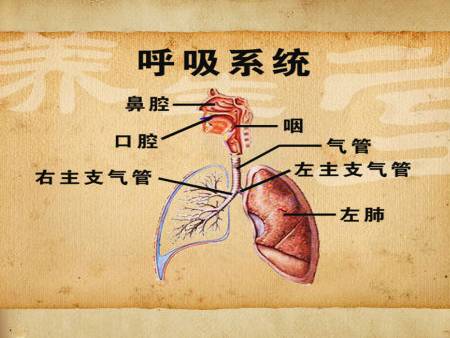 byb.cn byb.cn
