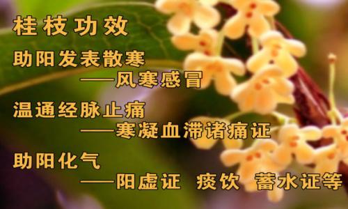byb.cn byb.cn