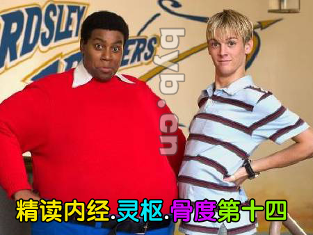 精读黄帝内经,灵枢,骨度