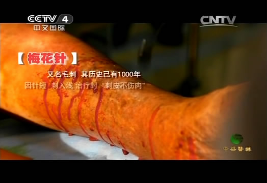 byb.cn byb.cn