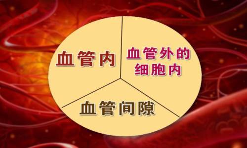 byb.cn byb.cn