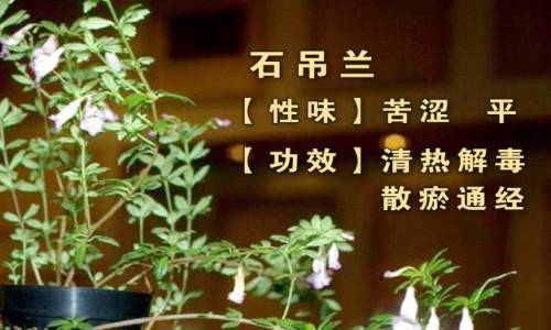 byb.cn byb.cn