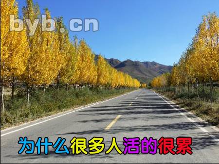 byb.cn 为什么很多人活的很累?