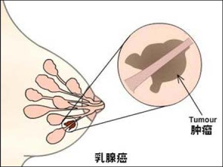 byb.cn byb.cn
