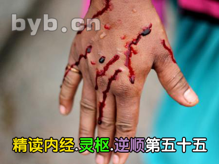 byb.cn byb.cn