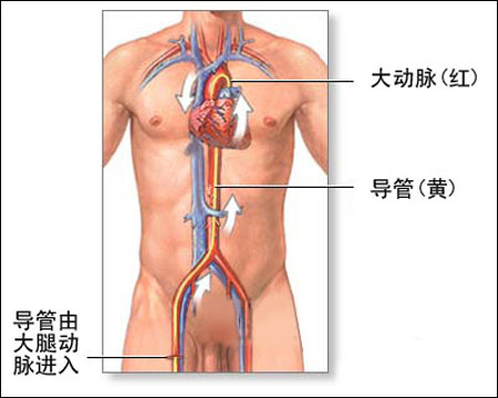 byb.cn