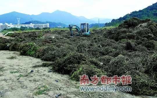 byb.cn
